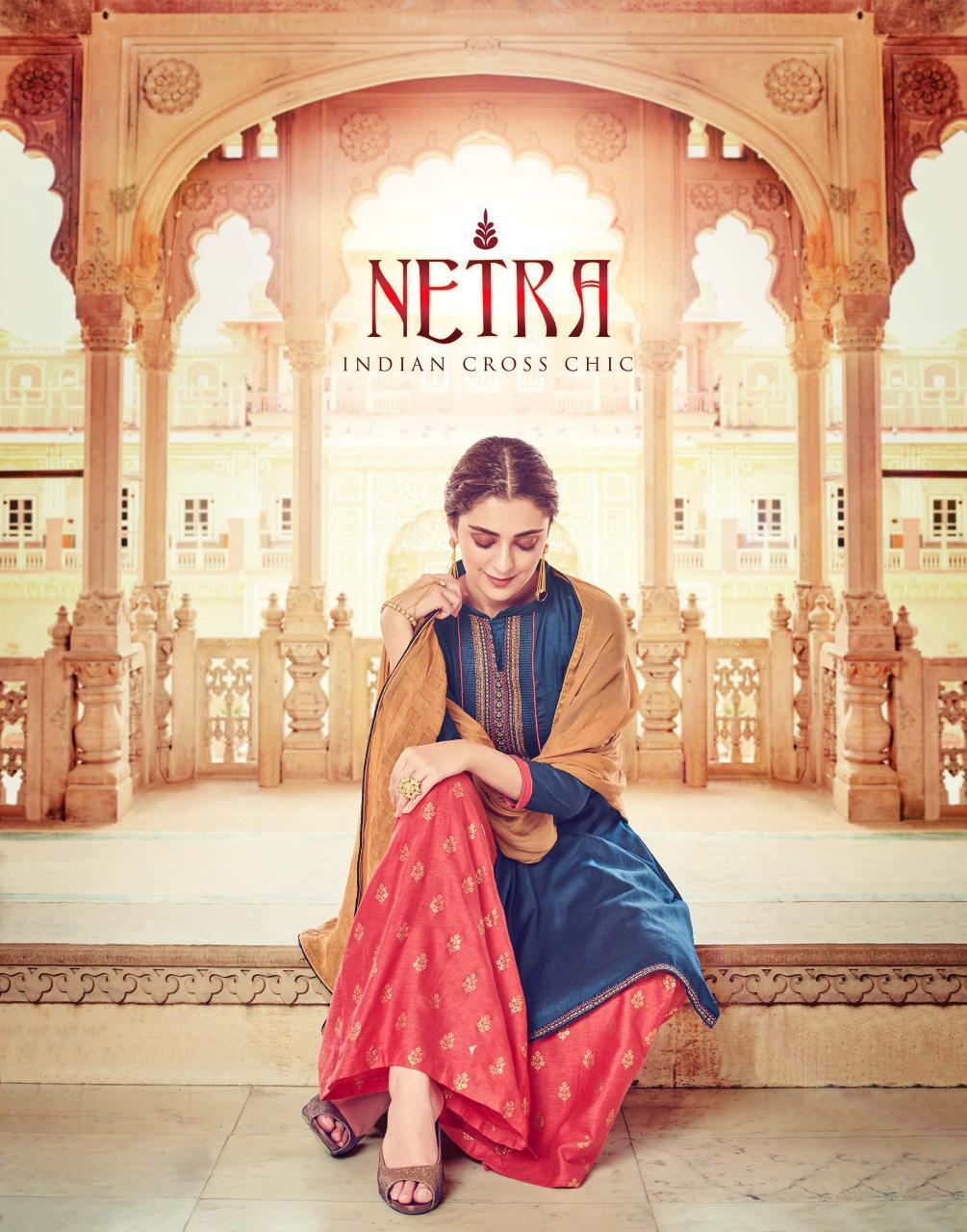 Sargam Prints Netra Printed Pure Jam With Embroidery Work Dr...