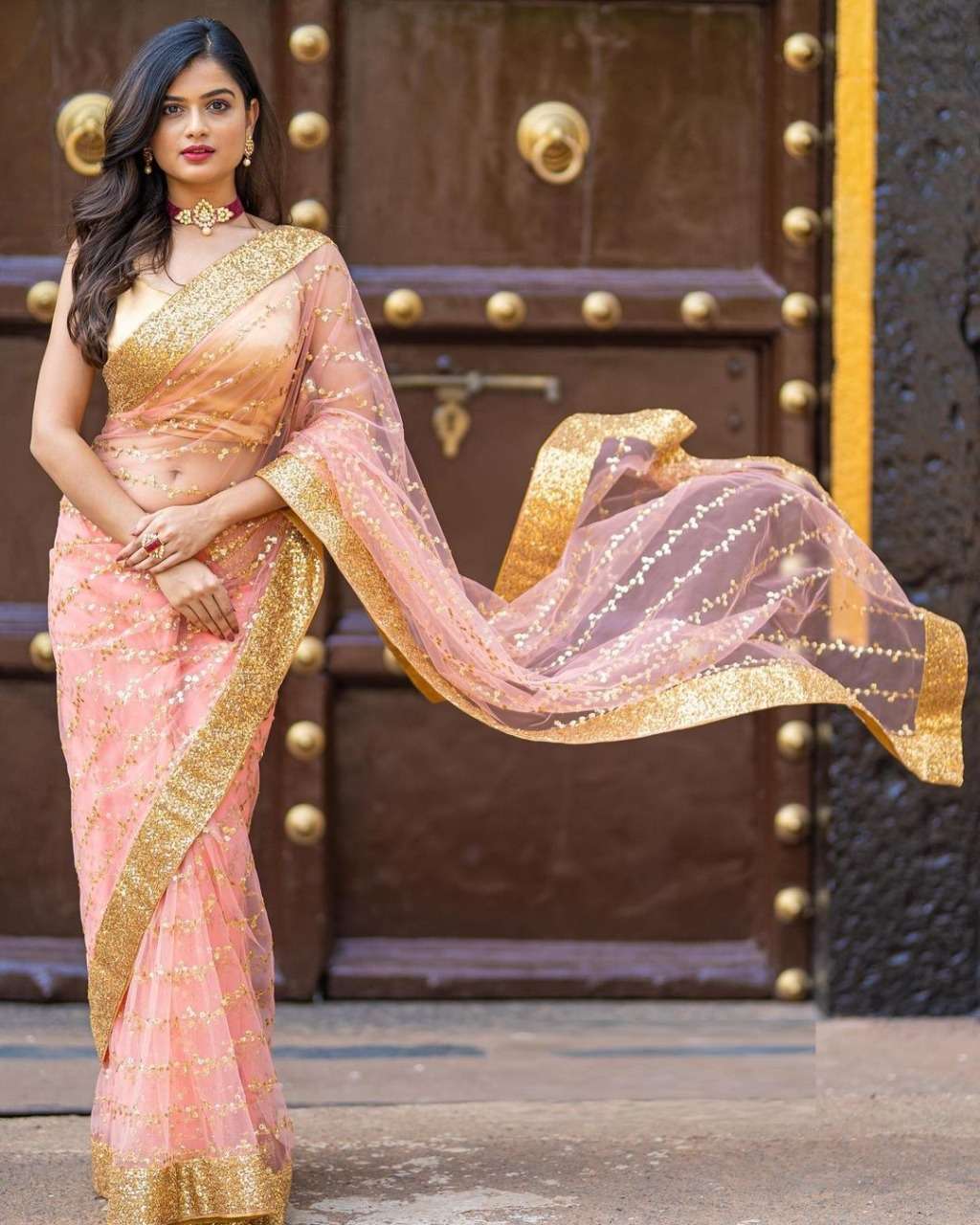 KT-221 NAYLON NET PARTY WEAR SAREE COLLECTION