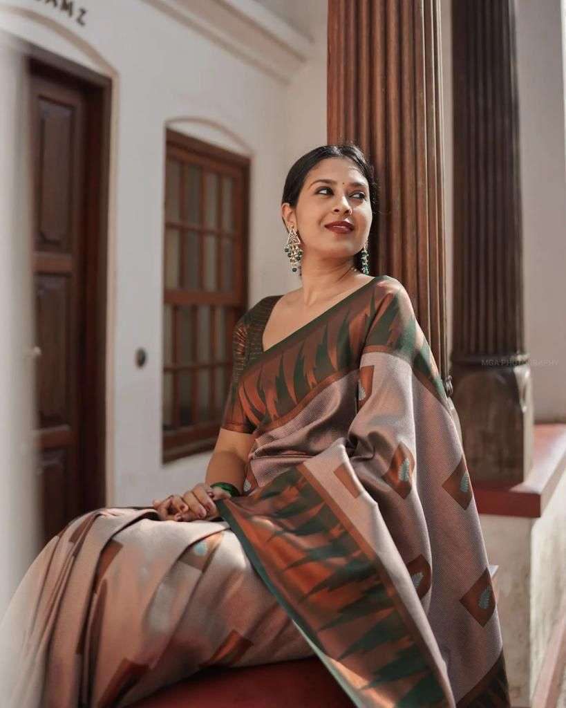 SILK FABRIC JACQUARD PRINT GRAY COLOR SAREE FOR PARTY WEAR I...