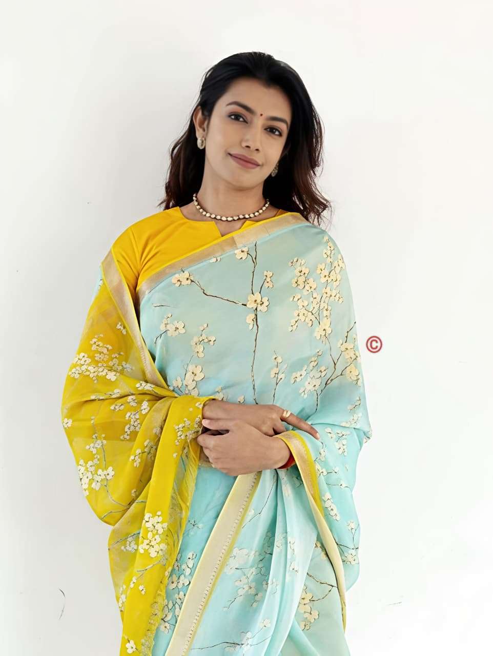 Soft Linen and Exquisite Collection with Mangalagiri border ...
