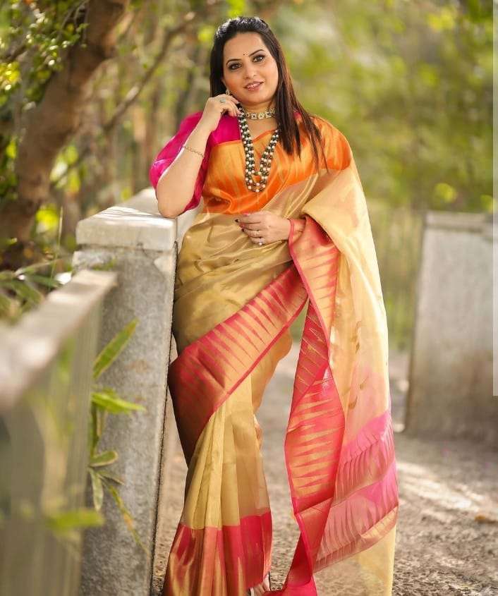 Best seller Temple Border banarasi fancy golden tissue silk ...