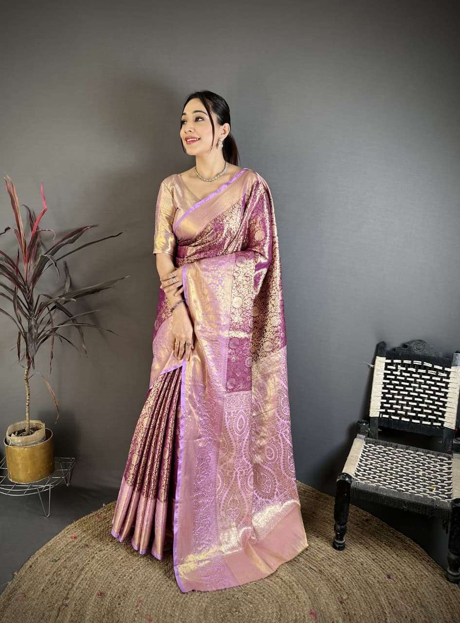Beautiful Lightweight Kanchipuram Silk fancy and traditional...