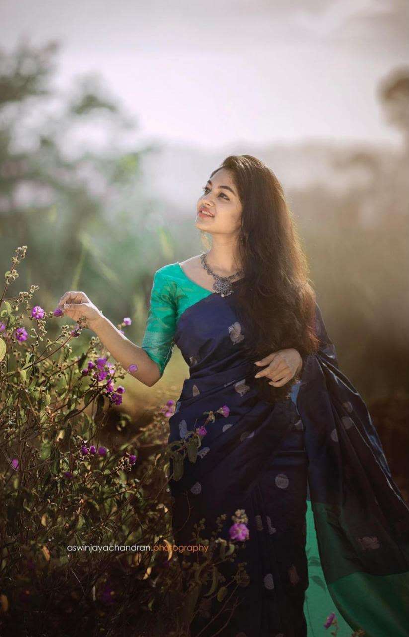 A beautiful borderless silk kanchivaram fancy fabric saree p...