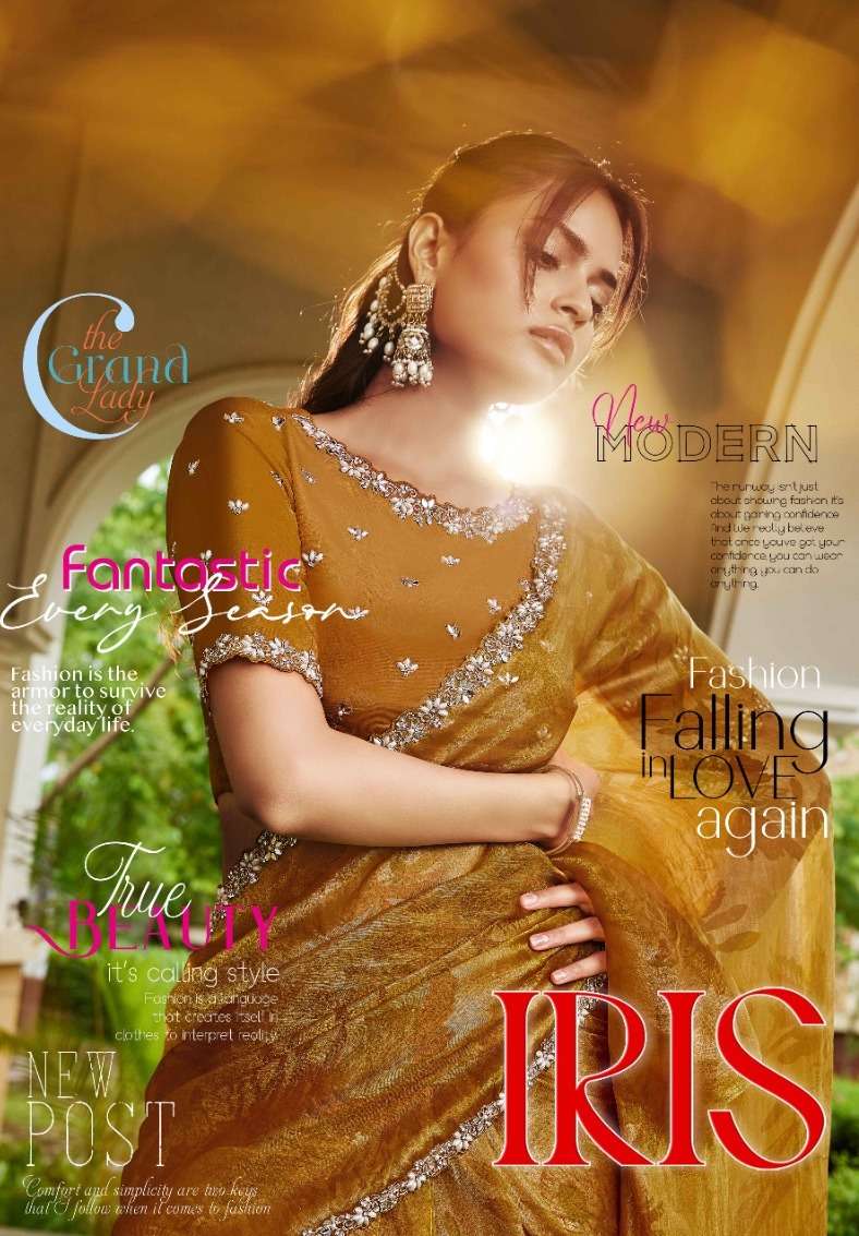 MAHOTSAV NORITA 45000 IRIS NEW FESTIVE WEAR AND DESIGNER SAREE WHLESALE IN SURAT 
